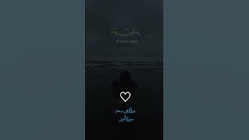 عبدالرحمن مسعد (سورة النور)