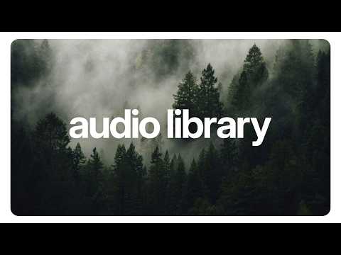 Calm Folk Music for Documentaries 🎥 (Royalty Free) | Rrrrrose Azerty - Viens là où on peut danser