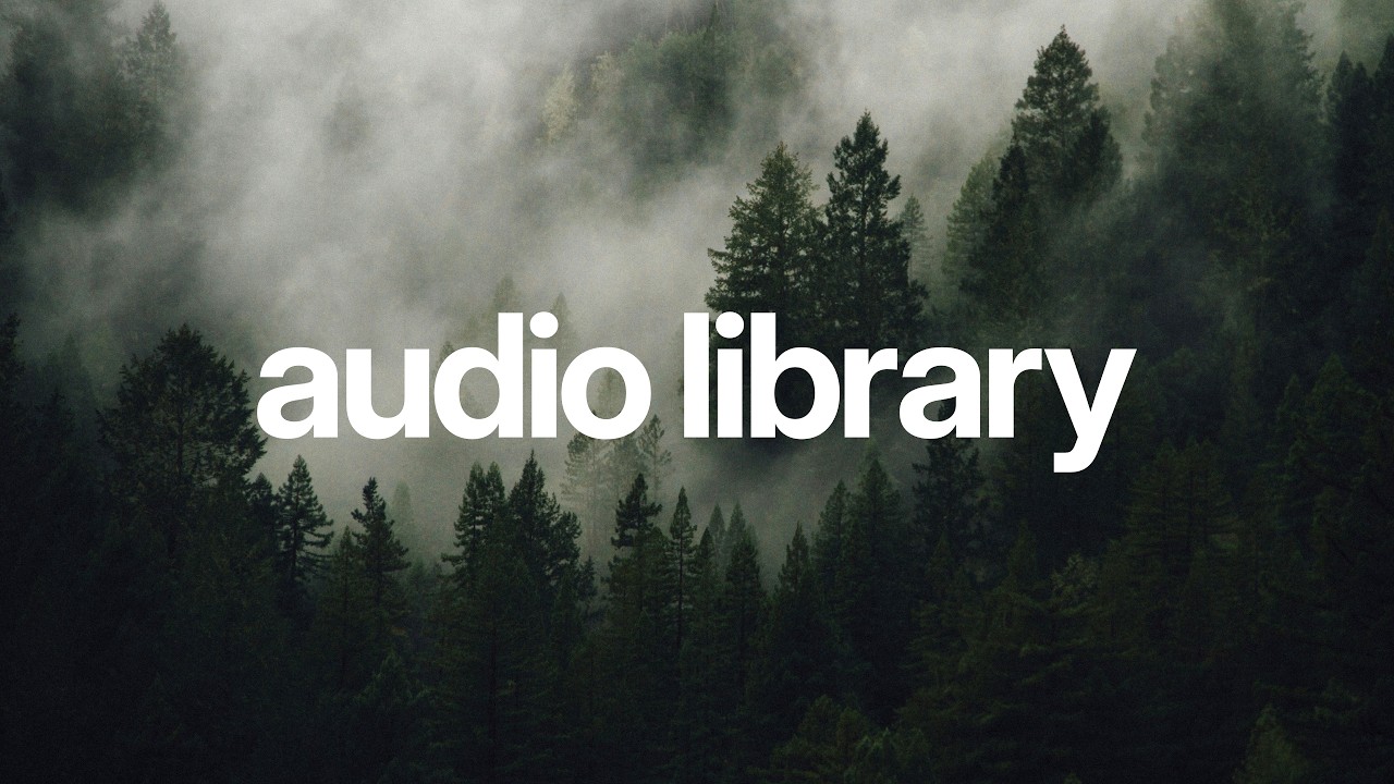 ⁣Calm Folk Music for Documentaries 🎥 (Royalty Free) | Rrrrrose Azerty - Viens là où on peut danser
