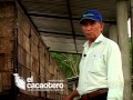 CACAO ECUATORIANO DOCUMENTAL PROCESOS 1/3