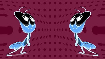 Bob Zoom Most Viewed Intro Effects - Infantil Musical | Sponsored By Klasky Csupo 2001 Effects