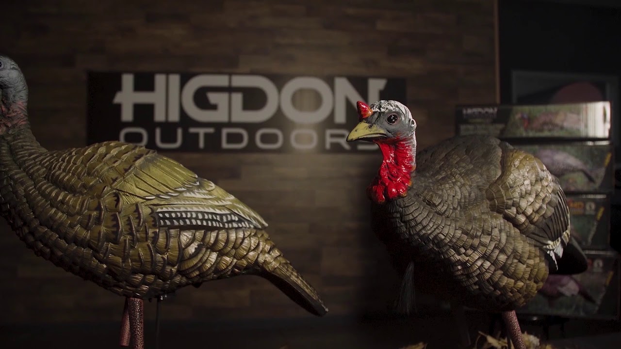 Higdon Outdoors Turkey Decoys Kelley's Choice YouTube
