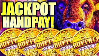 ★JACKPOT HANDPAY!★ 5-COIN TRIGGER! 100  FREE GAMES!! BUFFALO STRIKE Slot Machine (ARISTOCRAT GAMING)