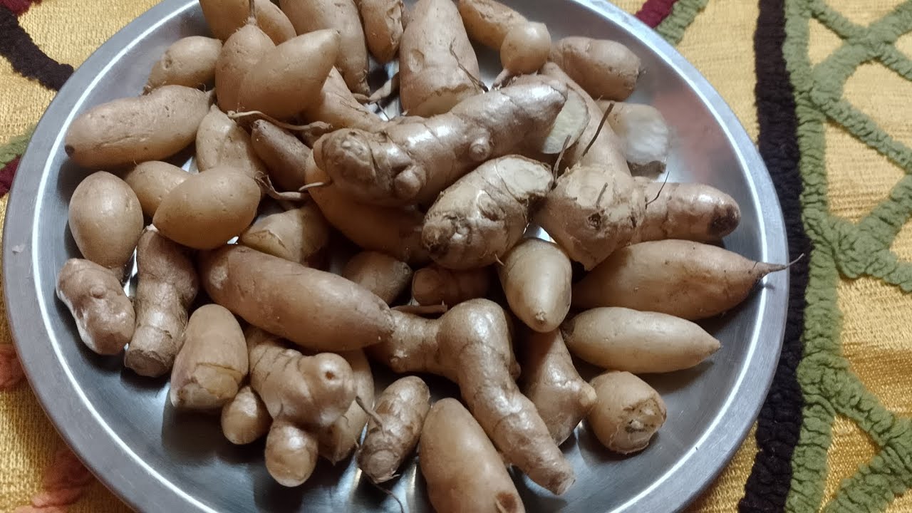 గెస్ చేయగలరా