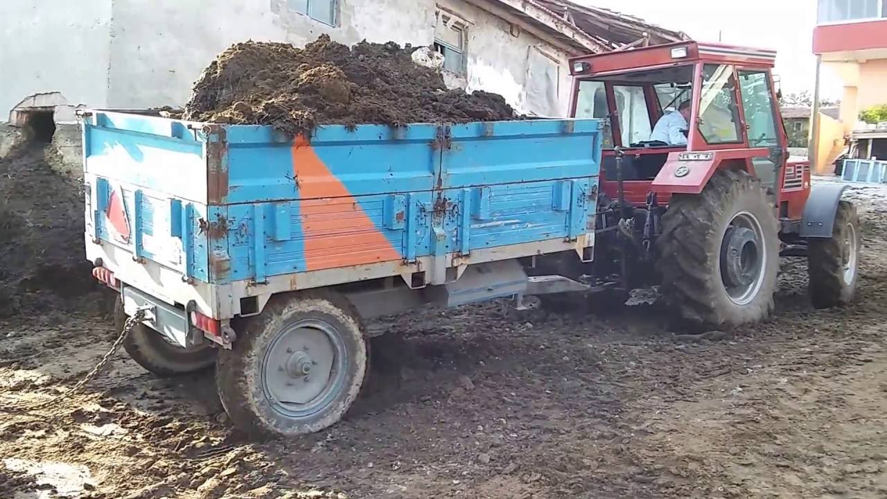 Tümosan 8085 zorlu mücadelesi. [Halil Tuna.] Çorum mecitözü kışlacık köyü muhtarı