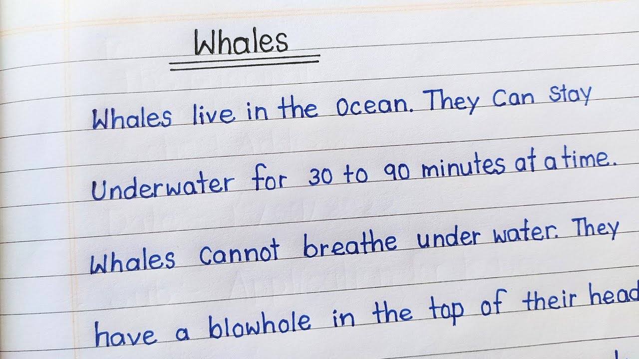 the whale elies essay