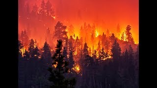 December isn’t normally wildfire season in los angeles. cenk uygur
and ana kasparian, hosts of the young turks, discuss. tell us what you
think commen...