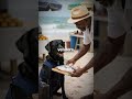 Jamaican Dogs Are Better at Business Than Most Humans