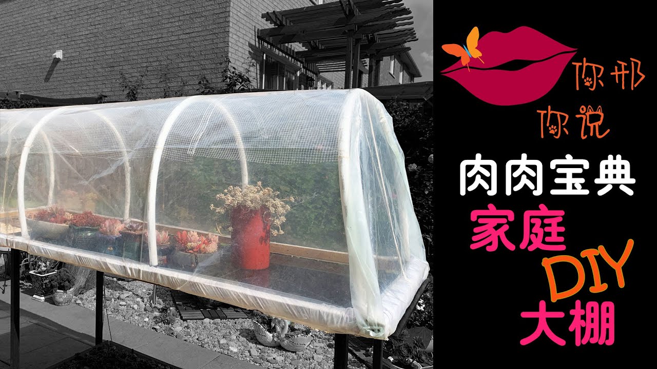 你邢你说 肉肉宝典 多肉大棚diy Diy Mini Greenhouse At Home English Subtitle Youtube