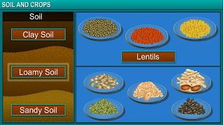 TeachNext | CBSE Grade 7 | Science | Soil and Crops