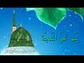 يمم نحو المدينة المنشد محمد حكيم 