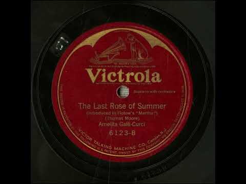The Last Rose Of Summer Irish Melodies Amelita Galli Curci The Last Rose Of Summer Irish Melodies Amelita Galli Curci