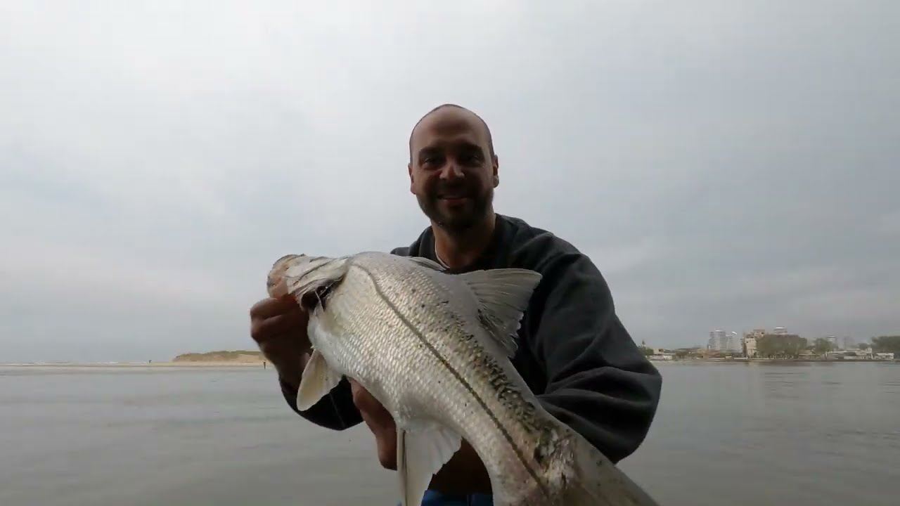 ROBALOS GRANDES DO RIO TRAMANDAÍ #snookfishing #robalos