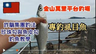 台灣釣魚樂（52）金山萬里平台上詐騙集團釣法珍珠勾與魚皮勾釣魚教學專釣虱目魚