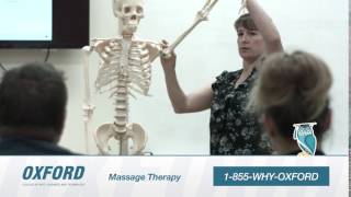 Massage Therapy at Oxford College of Arts, Business and Technology