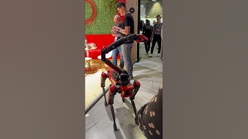 We are developers 2023