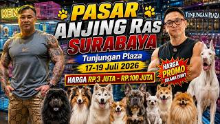 Grebek Pasar Anjing Ras Di Surabaya