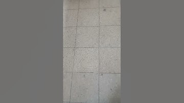 أروع التلاوات بصوت القارئ ماجد الزامل