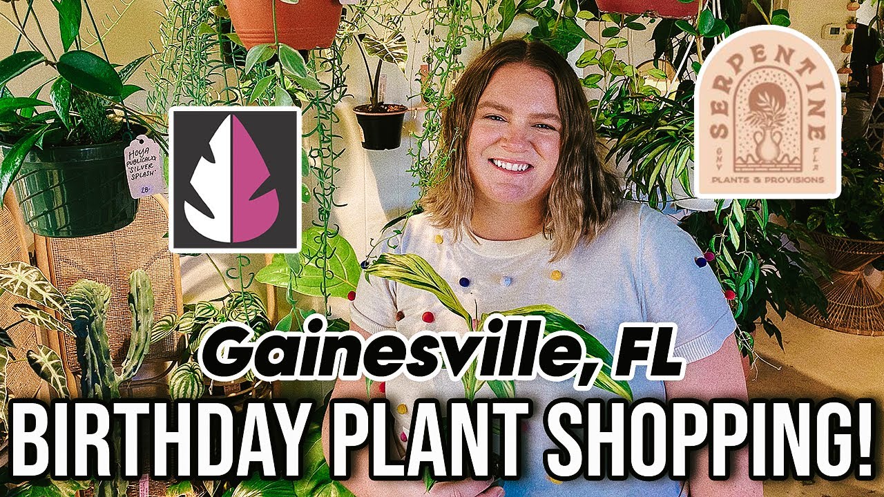 SO MANY RARE PLANTS!! Birthday Plant Shopping in Gainesville, Florida