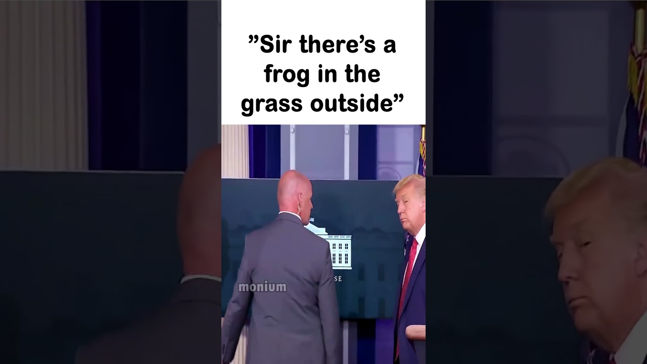 Sir There's a Frog