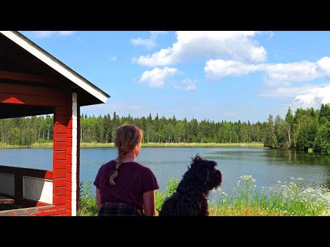 Video: Mit einem Hund nach Finnland