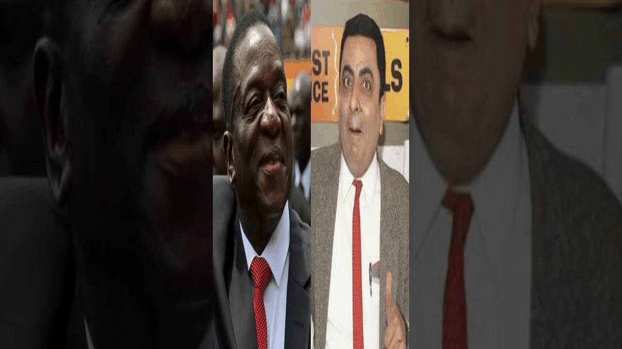 Send the real Mr Bean next time, jokes Zimbabwe President after