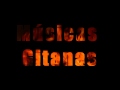 Musicas Cigana Gitanas na rádio e tv cigana www.tvcigana.com.br