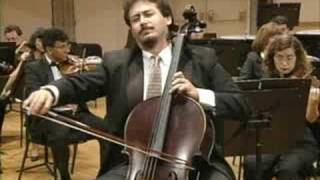 Haydn:Cello Concerto in C Major. (Part 2) William Molina Cestari.Cello