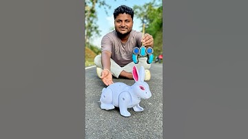 Remote control rabbit unboxing and testing short video ||￼