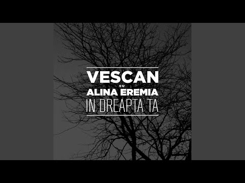In dreapta ta