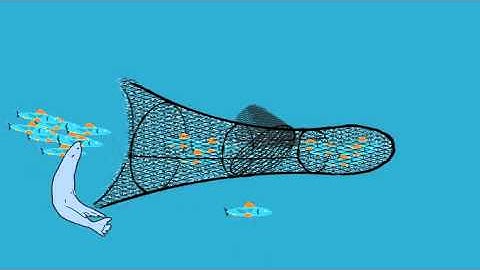 seal excluder device