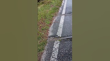 abandoned railroad tracks Cape May New Jersey