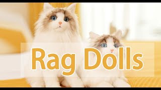 Ragdoll Cat Plush Toy Realistic Cat Plushie Kitten Stuffed Animal Realistic Cat Doll