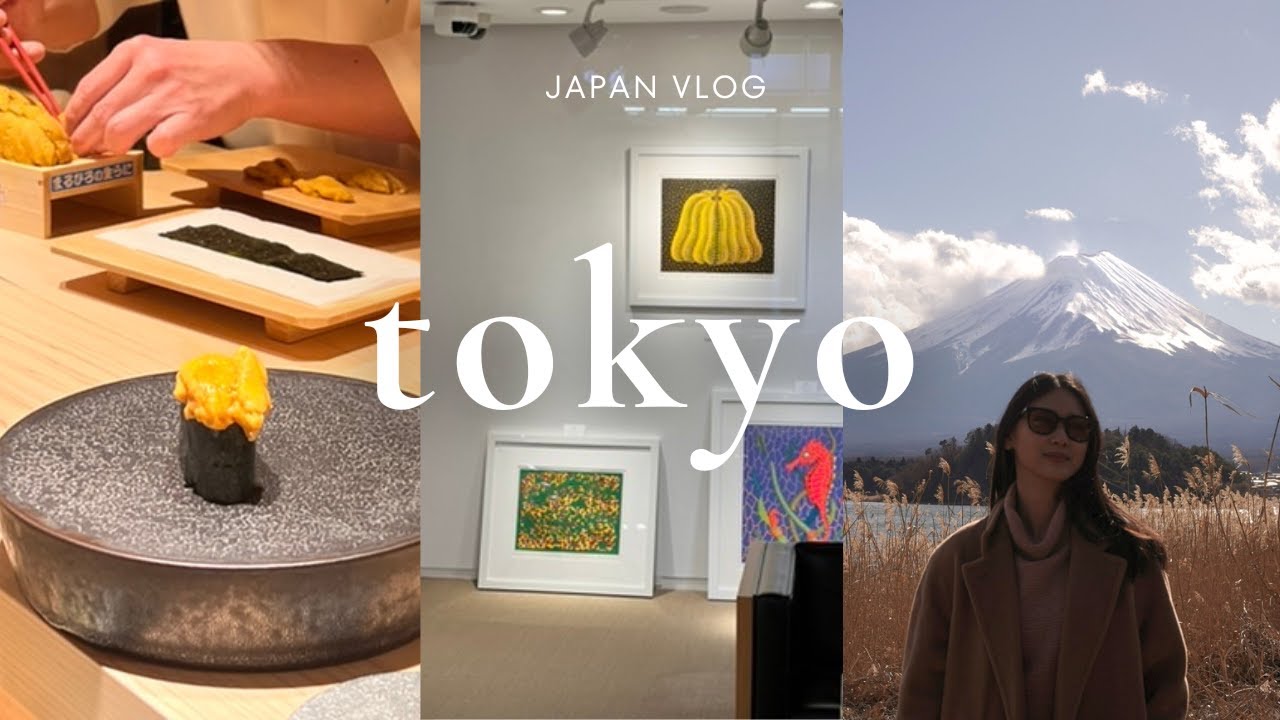 japan diaries: 4 days in tokyo | shopping, road trip to mount fuji, best omakase
