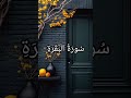 Quran Urdu Translation ❣️#love #quran #quranrecitation #quranforeever #shorts #motivation