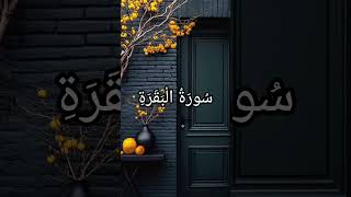 Quran Urdu Translation ❣️#love #quran #quranrecitation #quranforeever #shorts #motivation
