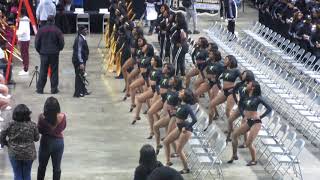 Celebrity Alabama State University Mighty Marching Hornets Band Marching In Pre Battle vs Alabama A&M (2017) Net Worth