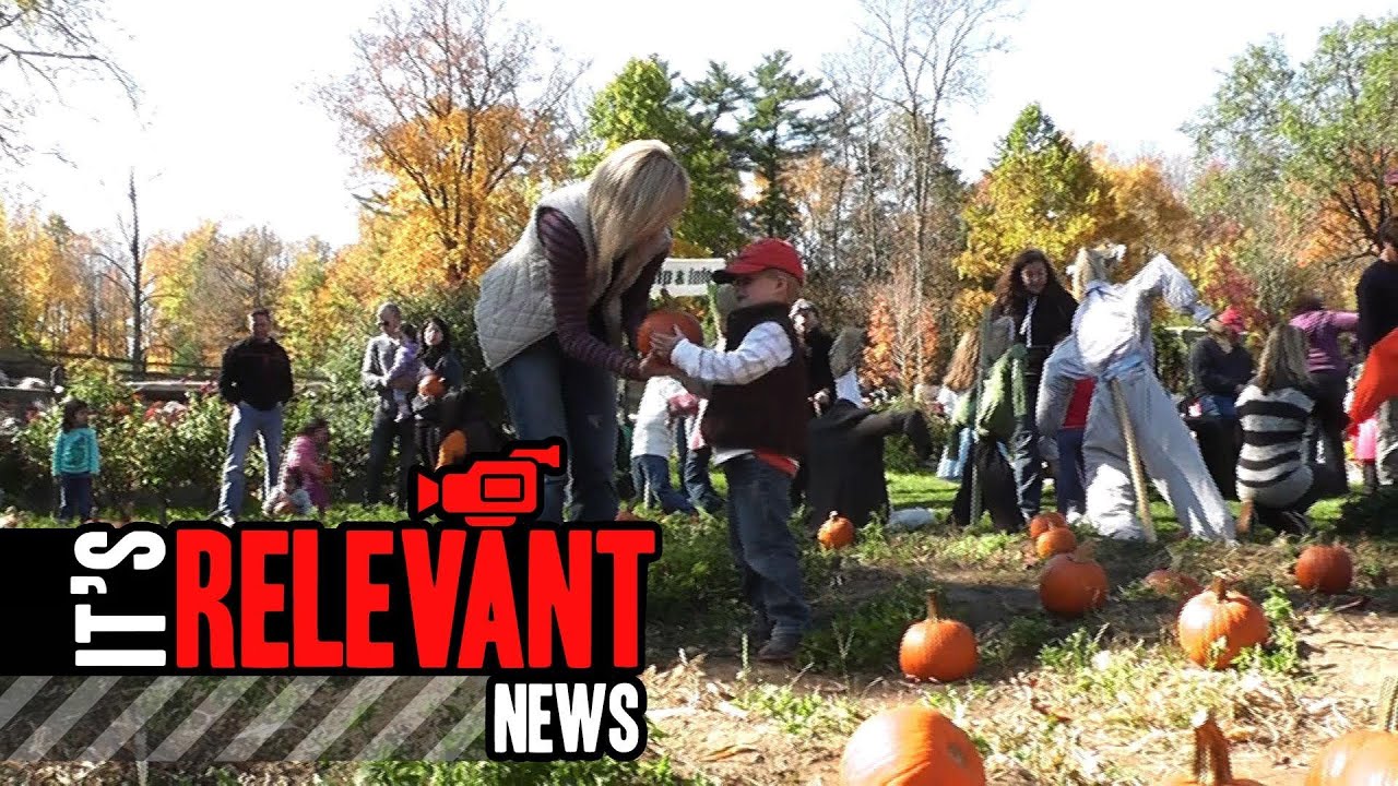 Harvest Festival Weekend Brings Families to the Farm