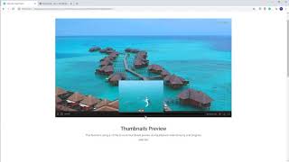 Ultimate Video Player Thumbnails Preview