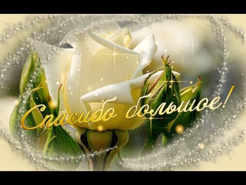 Прошу... у Бога счастья для тебя... ❤️Прекрасные пожелания близкому человеку! ❤️