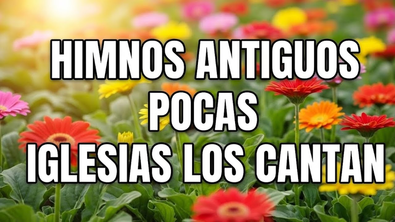 50 Himnos que Abrazan el Corazón 🙏 Alabanza para Momentos Difíciles