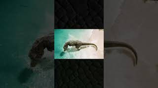 T. rex VS Megalodon (Who Would Win?)