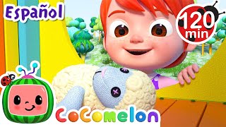 Mary tenia un corderito | CoComelon y los animales 🍉| Dibujos para niños by CoComelon y Animales - Canciones infantiles 34,458 views 1 month ago 2 hours