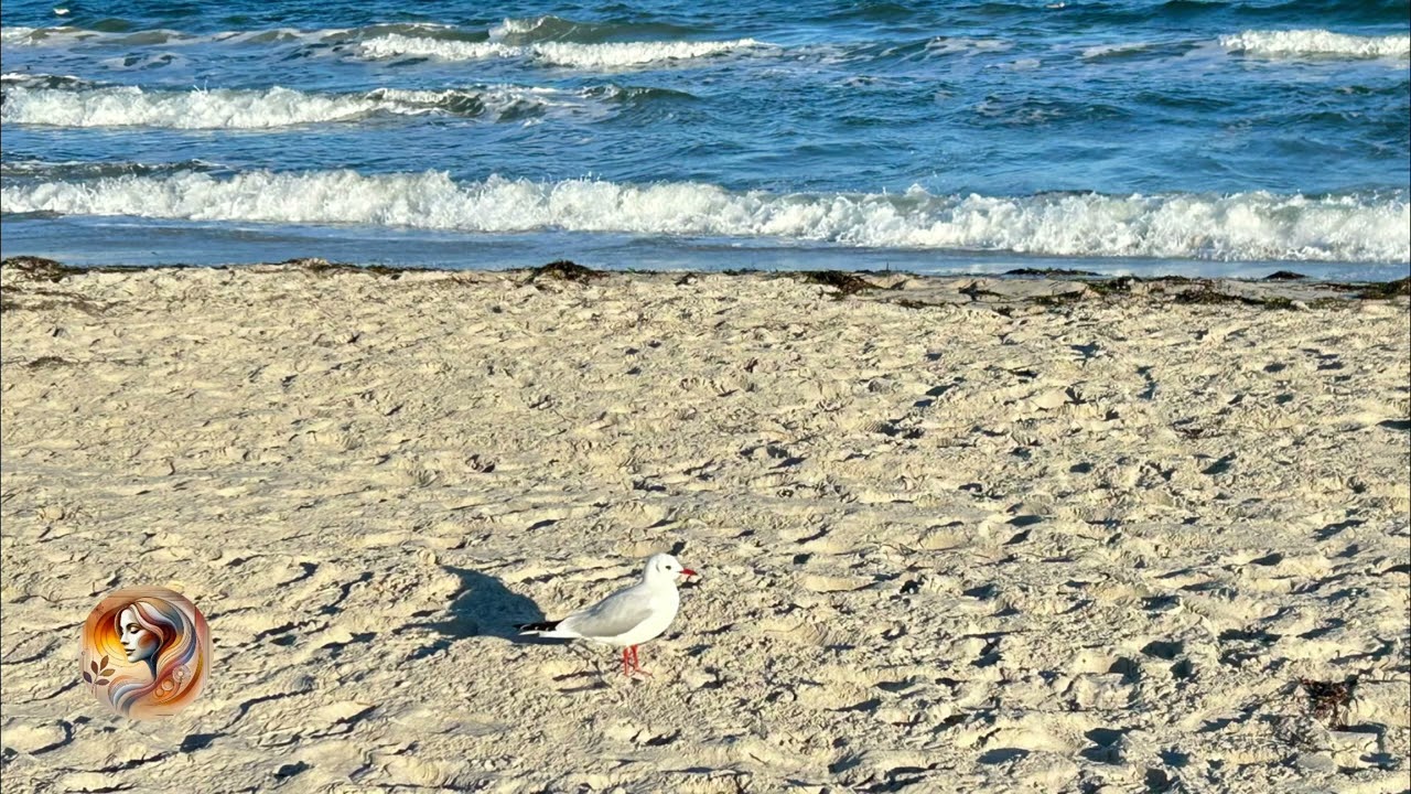 Nicht alles,was beruhigt, heilt