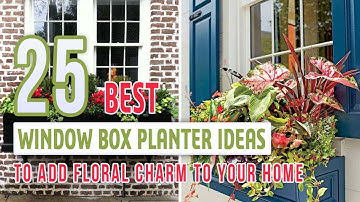 25 Best Window Box Planter Ideas To Add Floral Charm To Your Home