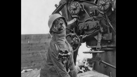 Post Scriptum 1-Life events in a nutshell (Post Scriptum moments)