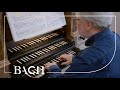 Bach - Wir glauben all an einen Gott BWV 740 - Jellema | Netherlands Bach Society