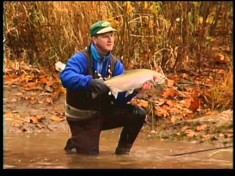 best fishing rod and reel for murray cod How to Swimbait For Murray Cod  Daiwa Australia