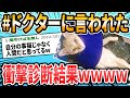 【動画】Xで大人気‼バズった動物オモシロ動画 ドクターに言われた衝撃的な言葉