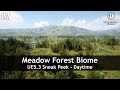 Mawi meadow forest  unreal engine 53  sneak peek daytime unrealengine ue5 gamedev